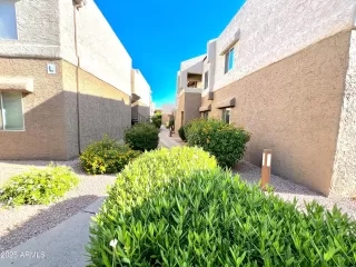 Browse active condo listings in PARADISE PARK