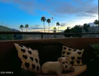 Photo #6: 6893678 Listing 