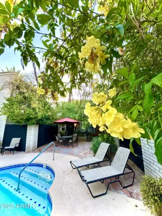 Photo #2: 6901348 Listing 