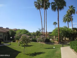 Photo #1: 6915384 Listing 