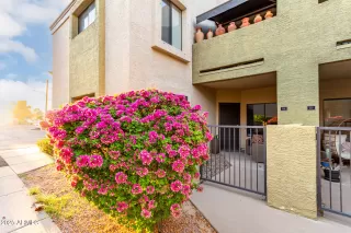 More Details about MLS # 6919027 : 4201 N 20TH STREET#115