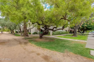 Photo #1: 6924889 Listing 