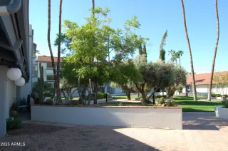 Photo #2: 6925283 Listing 