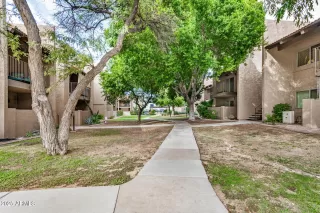 Photo #5: 6937103 Listing 