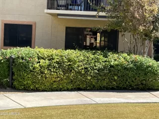 Primary Photo for MLS#: 6938190