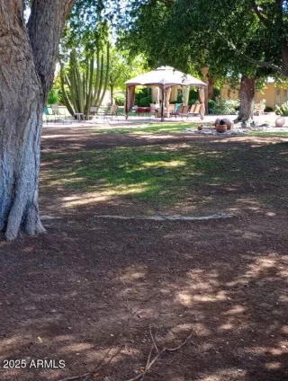 Photo #5: 6940803 Listing