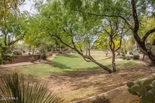 Photo #1: 6948499 Listing 