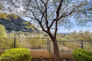 Photo #1: 6962999 Listing 