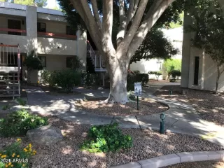 Photo #3: 6964048 Listing 