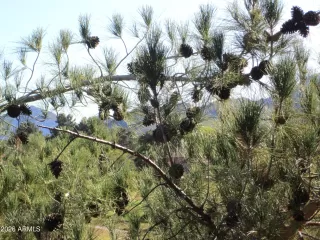 Photo #6: 6971722 Listing 