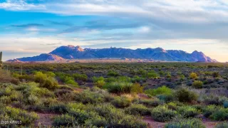 Photo #2: 6978824 Listing 