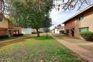 Photo #5: 6980515 Listing 