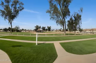 Photo #6: 6984623 Listing 