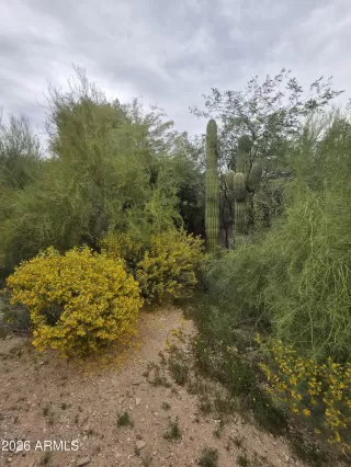 Photo #6: 6986077 Listing