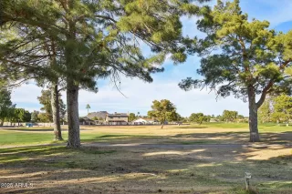 Photo #1: 6993564 Listing 