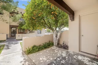 Photo #4: 7002007 Listing 