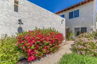 Photo #4: 7004042 Listing