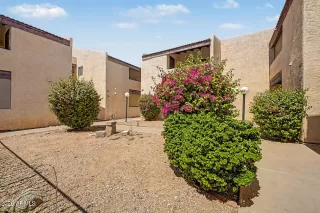 Photo #1: 7008808 Listing 