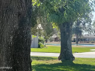 Photo #5: 7009168 Listing