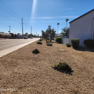 Photo #4: 7016875 Listing 