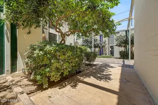 Photo #2: 7026918 Listing 
