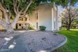 Primary Photo for MLS#: 7033210