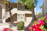 Primary Photo for MLS#: 7036386