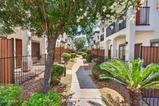 Photo #2: 7037376 Listing 