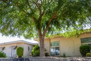 Photo #2: 7044865 Listing 