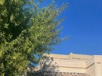 More Details about MLS # 6331477 : 9016 W PORT ROYALE LANE
