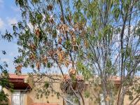 More Details about MLS # 6484946 : 18239 N 40TH STREET #102