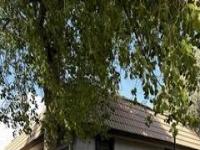 More Details about MLS # 6558555 : 9003 W ELM STREET #8