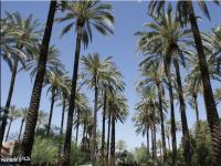 More Details about MLS # 6576313 : 4540 N 44TH STREET#64