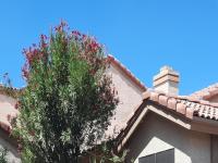 More Details about MLS # 6607373 : 13829 S 42ND PLACE