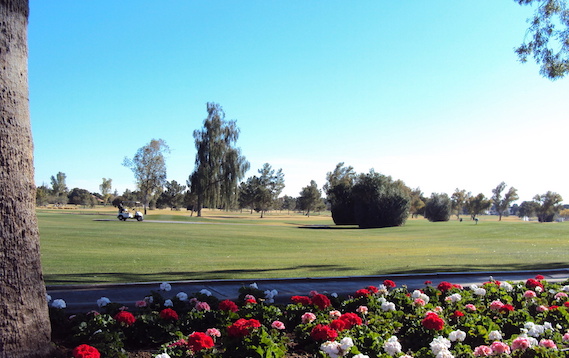 You might also be interested in BILTMORE CAMELBACK